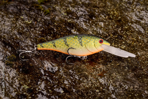 Fishing lure wobbler on a wet stone with moss photo