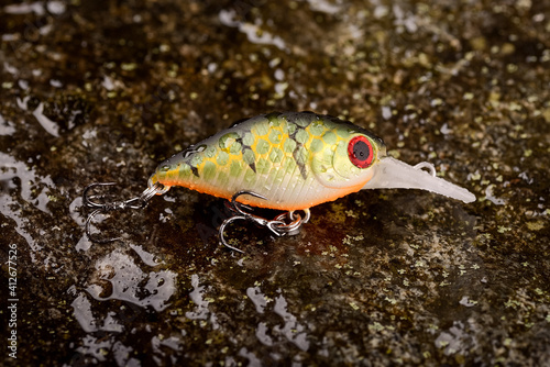 Fishing lure wobbler on a wet stone with moss photo