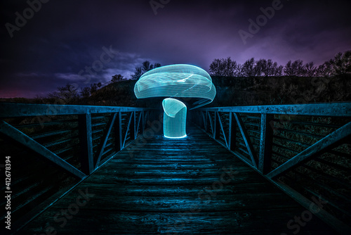 Long exposure, light painted trippy mushroom
