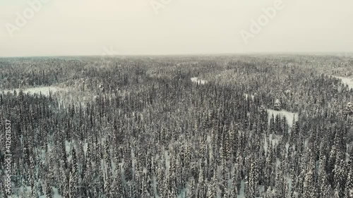 snow covered field