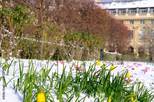 Photos The garden of Palais Royal under the snow, Paris, France, February 2021
