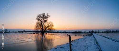 Auenlandschaft Winter mit Baum Bingenheim nach Sonnenuntergang
