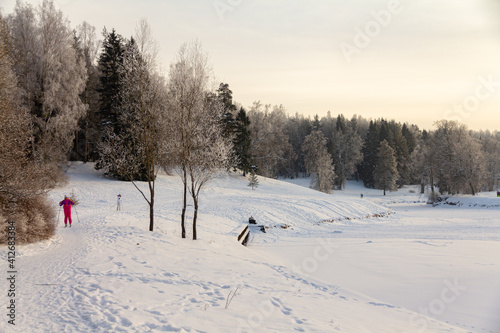 Evening in the winter park. Pavlovsk, the vicinity of St. Petersburg. Russia