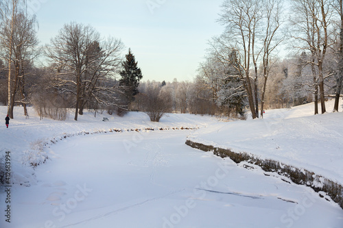 Evening in the winter park. Pavlovsk, the vicinity of St. Petersburg. Russia