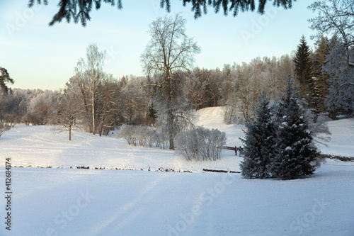Evening in the winter park. Pavlovsk, the vicinity of St. Petersburg. Russia