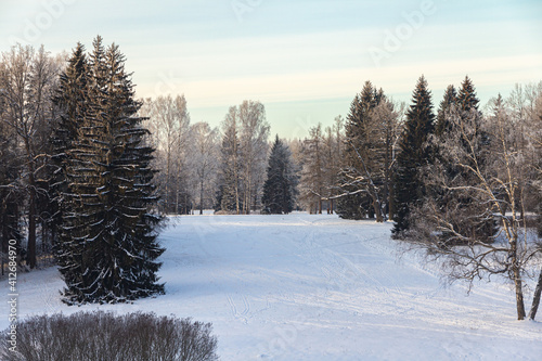 Evening in the winter park. Pavlovsk, the vicinity of St. Petersburg. Russia