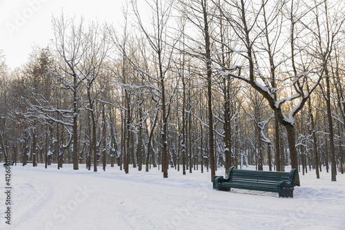 Evening in the winter park. Pavlovsk, the vicinity of St. Petersburg. Russia