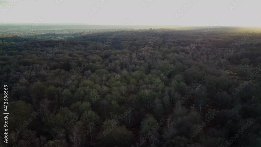 Aerial Shot of Winter Woodland Forest - pan
Aerial Shot of Winter Woodland Forest - pan