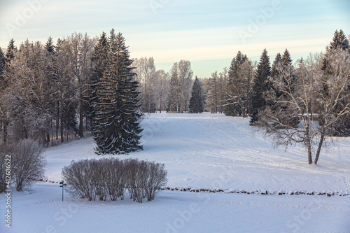 Evening in the winter park. Pavlovsk, the vicinity of St. Petersburg. Russia