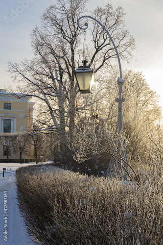 Evening in the winter park. Pavlovsk, the vicinity of St. Petersburg. Russia