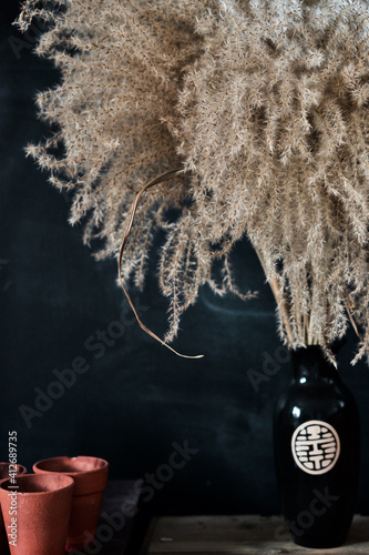 Pampas Flowers in Black Japanese Style Vase against Black Background with Pots. Indoor Interior Decoration.