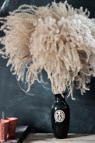 Pampas Flowers in Black Japanese Style Vase against Black Background with Pots. Indoor Interior Decoration.