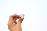 person holding a white small flower in front of colorless white sky background