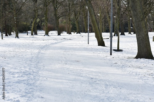 Snowy winter landscape in the city park.