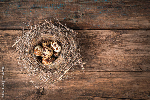 A small nest of dry grass with quail eggs inside on a wooden background. Top view with copy space.