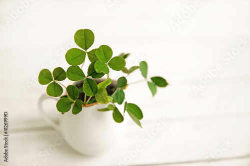 green clover leaves in a white jug on a white wooden background © Tatyana