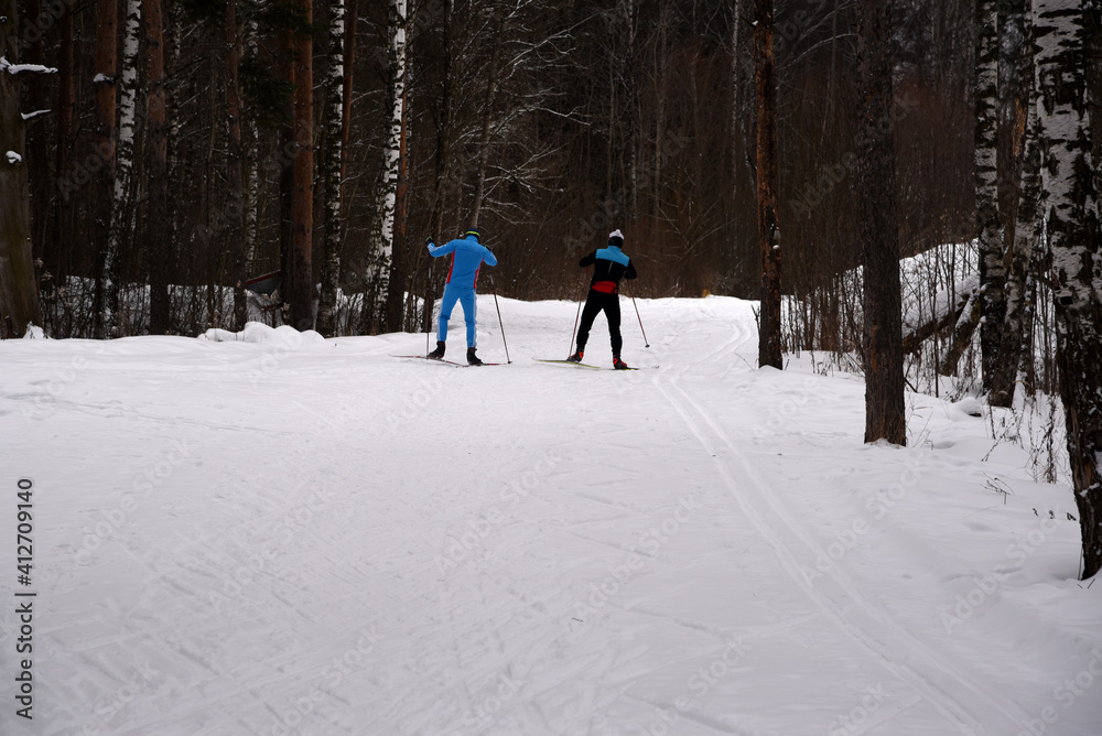 skiers in the forest