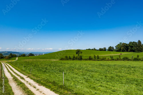 Meadow landscape with a blue sky