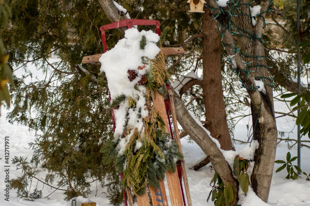 Fototapeta premium snow covered tree