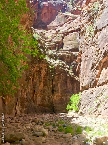 Utah Red Rocks Zion Narrows