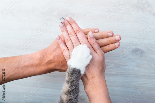 Couple or family hands and cat paw on the top. Human and the animal connection. Trust and friendship concept. photo