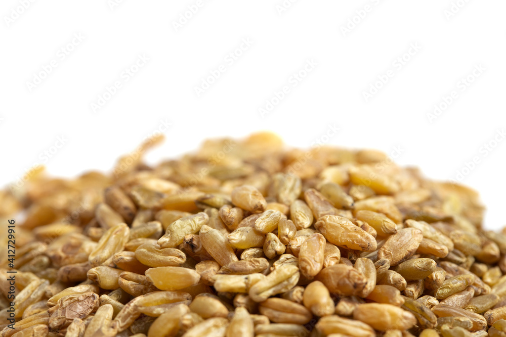 Freekeh Grain on a White Background Freekeh Grain on a White Background