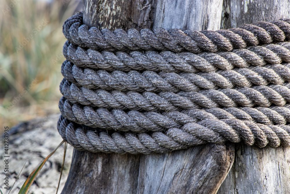 Fototapeta premium nautical rope wrapped on tree stump