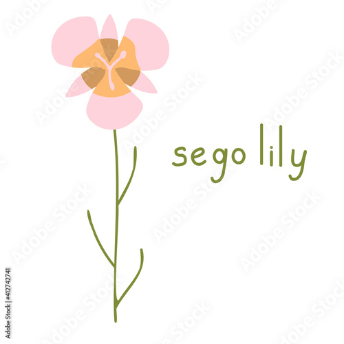 Sego lily vector flower