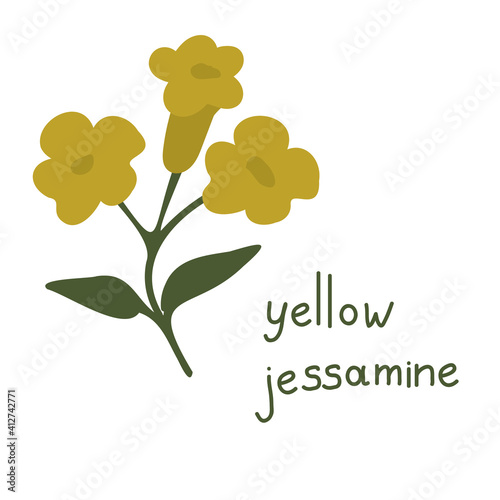 Yellow jessamine vector flower