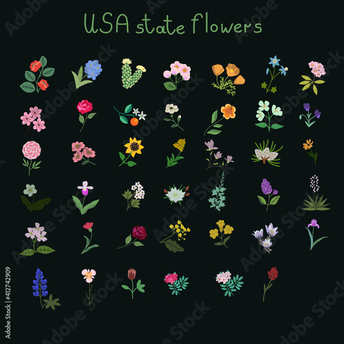 USA state flowers
