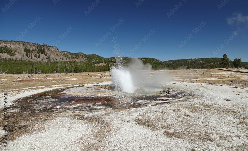 Jewel Geyser erupting along Biscuit Basin Loop Trail (Continental Divide Trail) in Biscuit Basin at Yellowstone National Park, Wyoming Jewel Geyser erupting along Biscuit Basin Loop Trail (Continental Divide Trail) in Biscuit Basin at Yellowstone National Park, Wyoming