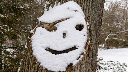 Snowman smiley face
