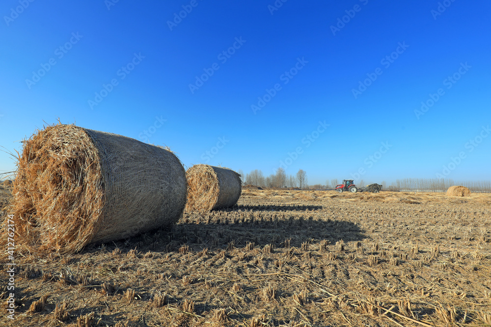 farmers use agricultural machinery to compress rice straw and bundle them on a farm, LUANNAN COUNTY, Hebei Province, China
