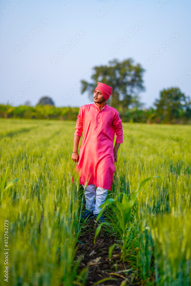 Young indian farmer walking at green wheat field