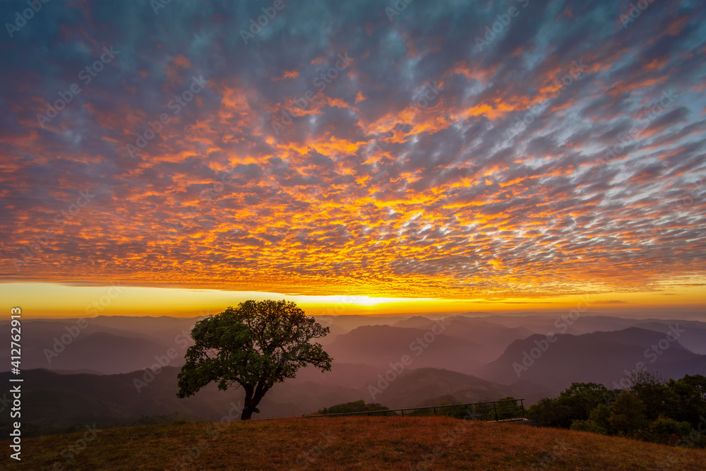 Lonely tree at amazing sunset, sunrise on top view mountain Lonely tree at amazing sunset, sunrise on top view mountain