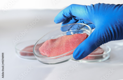 hand holding lab gown meat in a Petri dish. Meat in glass cell culture dish. in vitro cultured flesh. animal somatic cells experiments. new protein source.