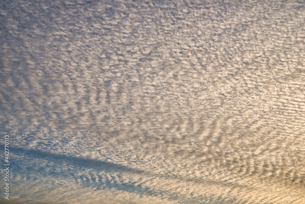 Obraz premium 都会の空に広がるイワシ雲