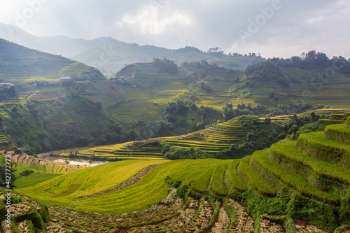 Terraced rice paddy field landscape of Mu Cang Chai, Yenbai, Northern Vietnam