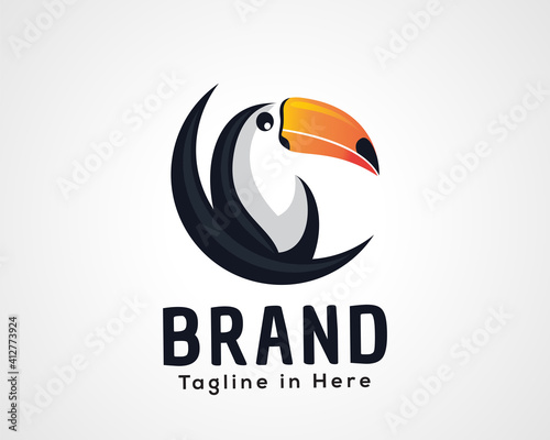 elegant head toucan bird logo icon symbol design illustration inspiration