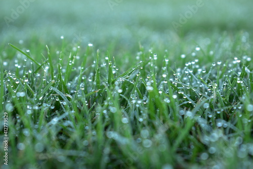 close up of dew on short mowed grass in large sports ground