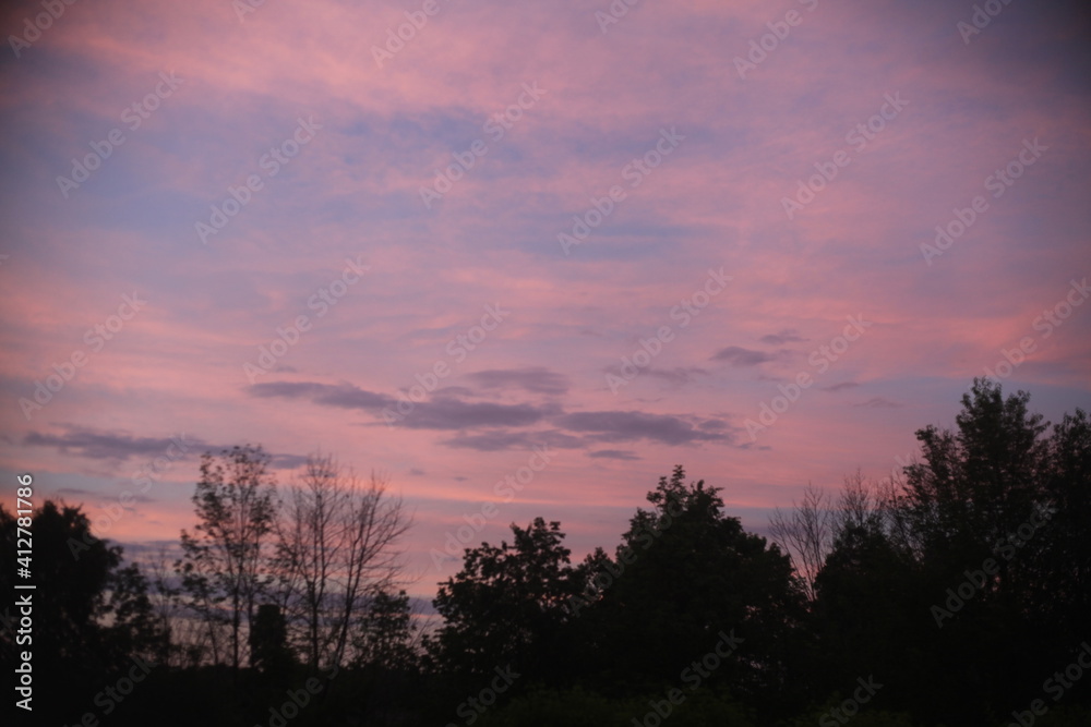 sunset in the forest