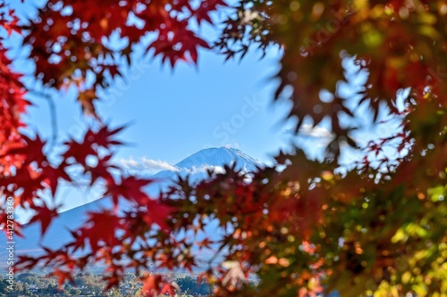 河口湖で見たモミジの紅葉越しに見る富士山の情景＠山梨