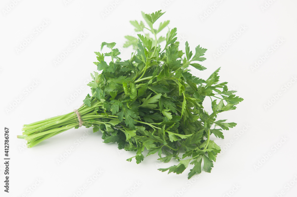 Fresh bunch green parsley bunch on white background. Top view, flat lay. Floral design element. Healthy eating and dieting concept Fresh bunch green parsley bunch on white background. Top view, flat lay. Floral design element. Healthy eating and dieting concept