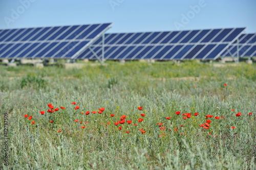 Zhambyl region, Kazakhstan - 05.15.2013 : Solar station panels are installed in a field with poppies