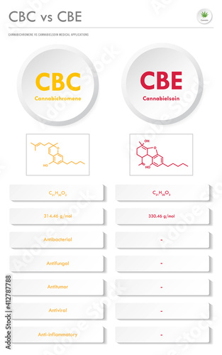 CBC vs CBE, Cannabichromene vs Cannabielsoin vertical business infographic  illustration about cannabis as herbal alternative medicine and chemical therapy, healthcare and medical science vector.