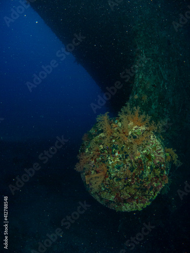 sunken boat in red sea