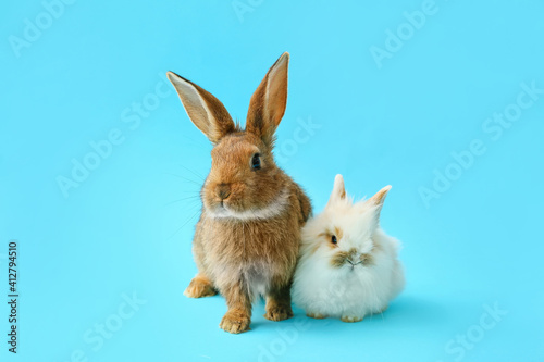 Cute funny rabbits on color background © Pixel-Shot