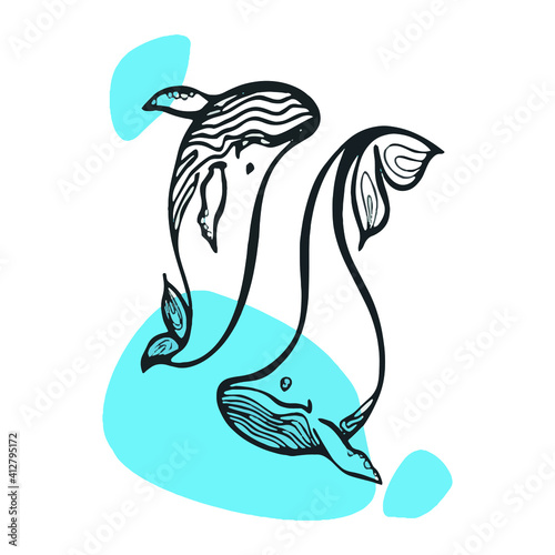illustration of a fish