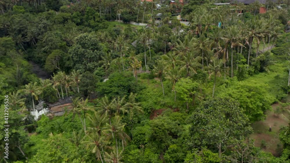 Close up aerial view of tropical residential homes hiding in the dense jungle in Bali Close up aerial view of tropical residential homes hiding in the dense jungle in Bali