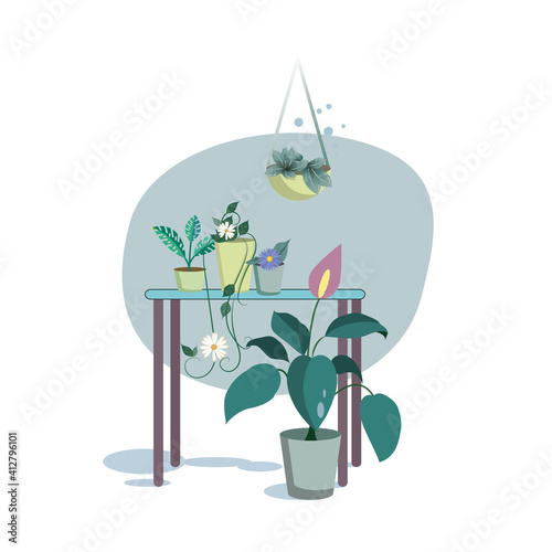 Indoor flowers on the table. Part of the interior, decor. Website, layout.